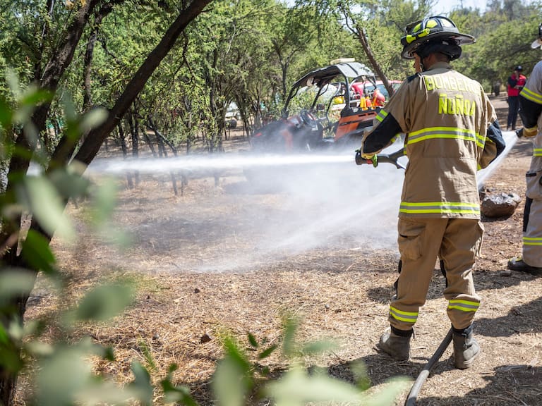 FIRE RES: Investigador del Instituto Sistemas Complejos explica proyecto para prevenir incendios forestales