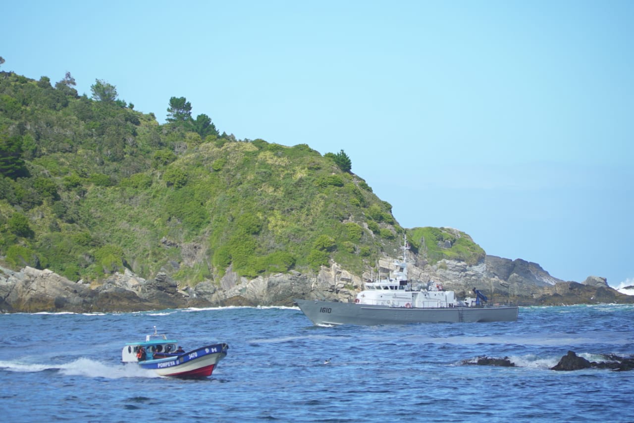 Cedida