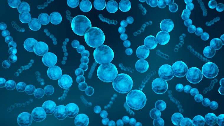 Minsal en alerta ante brote de bacteria que agrava casos de influenza: conoce qué es la estreptococo