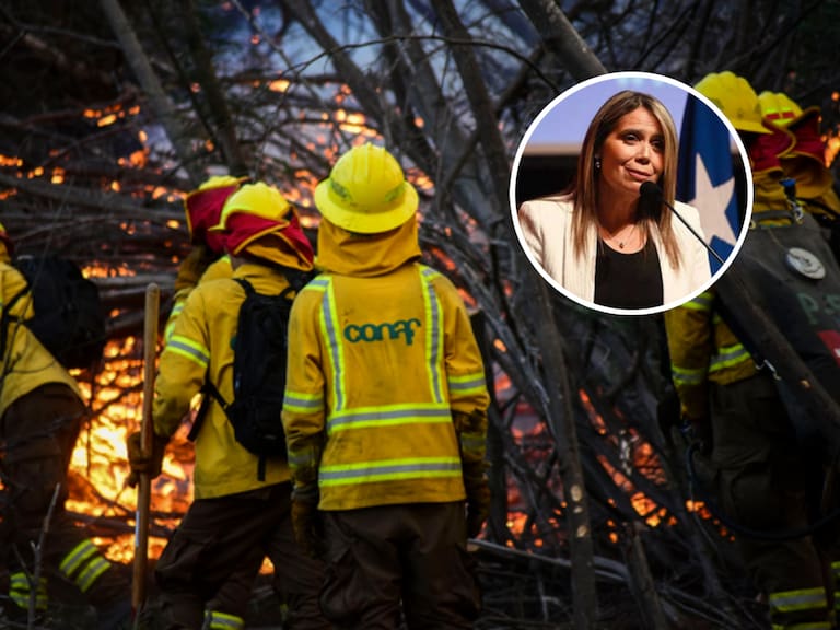 Alcaldesa de Quilpué critica lentitud en reconstrucción tras megaincendio de 2023 y denuncia trato desigual del gobierno