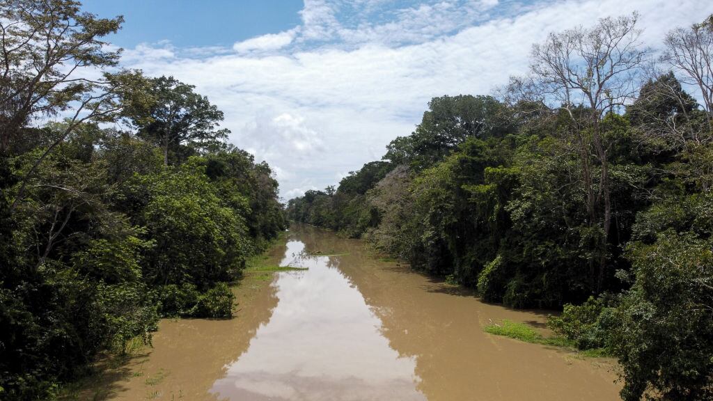 Un río en la selva del Amazonas