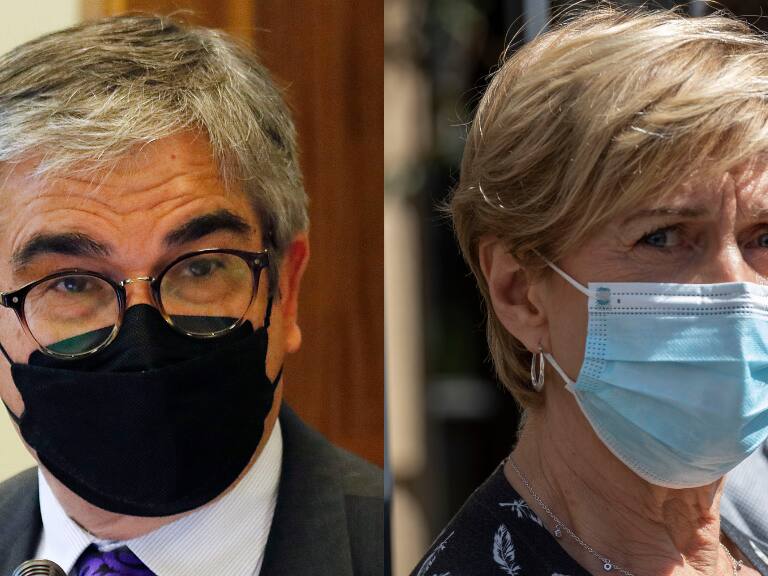 Mario Marcel, Evelyn Matthei