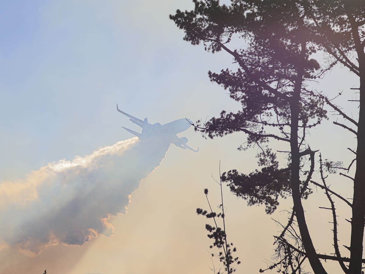 “Están generando incendios de manera intencionada”: alcalde de Tomé advierte delicada causa de siniestros