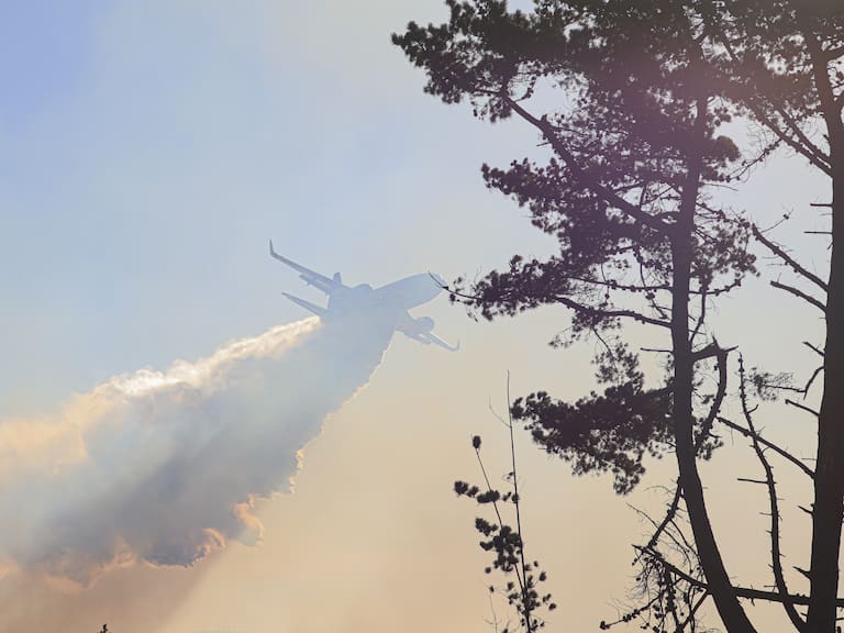 TOMÉ: Incendio forestal en el sector de Punta de Parra