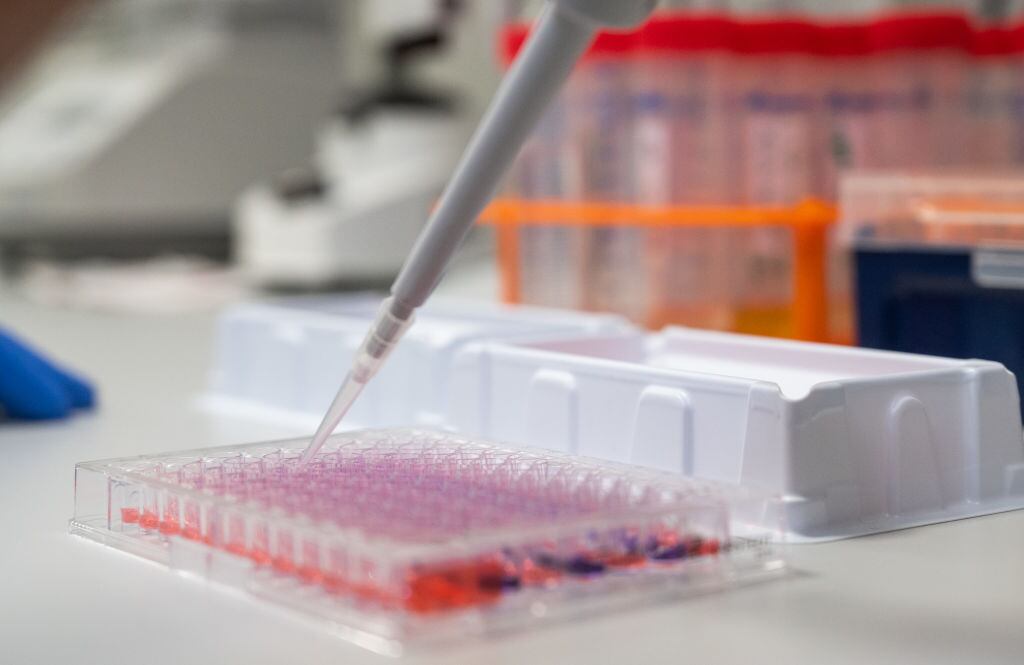 Imagen de científicos estudiando el Covid-19 en un laboratorio