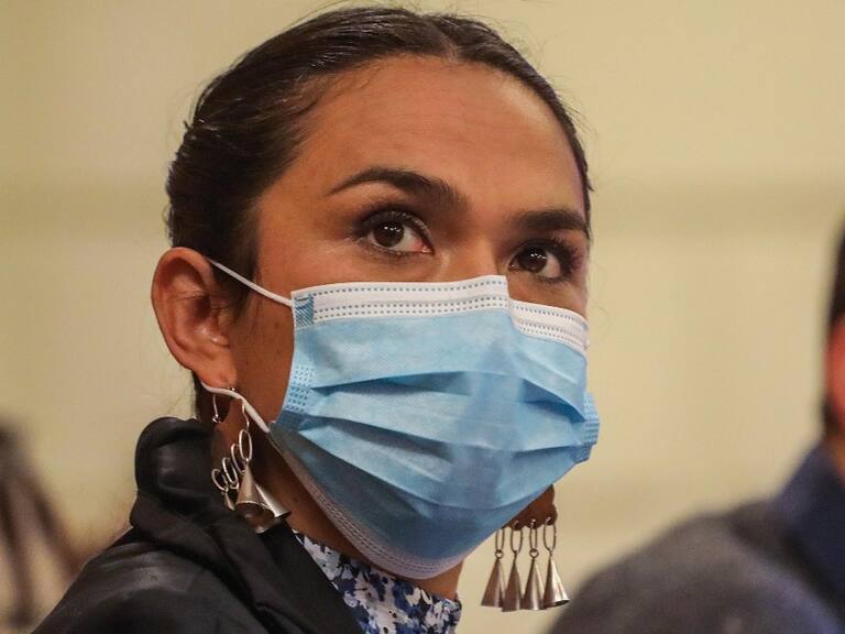 Rosa Catrileo tras resultados de encuesta CEP: «La plurinacionalidad no otorga derechos, es una declaración política»