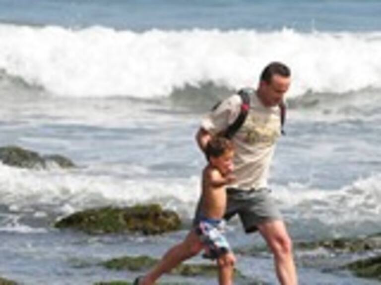 Capitán de Puerto de Quintero: No existió ningún tiburón varado en Cachagua