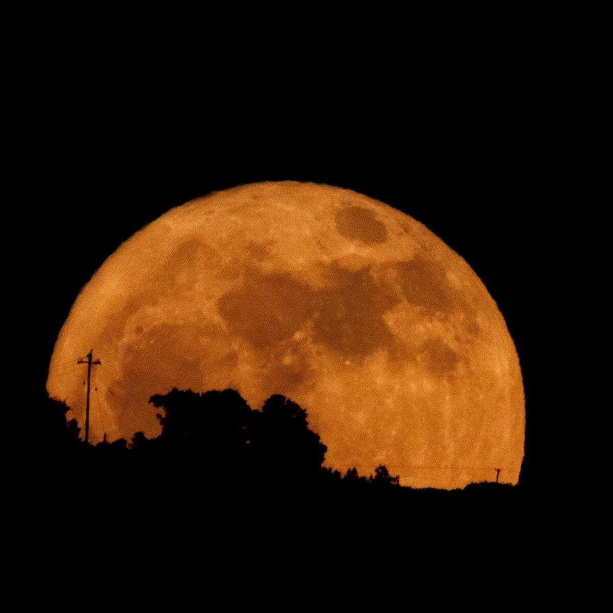 Los primeros eventos astronómicos del año: superluna, Júpiter y lluvia de meteoros se verán este fin de semana en Chile