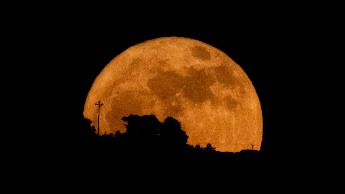 Los primeros eventos astronómicos del año: superluna, Júpiter y lluvia de meteoros se verán este fin de semana en Chile