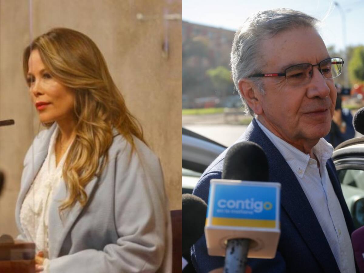 “Me encuentro con licitaciones de trato directo dudosas”: periodista de investigación pide indagar a Joaquín Lavín padre por caso de Cathy Barriga