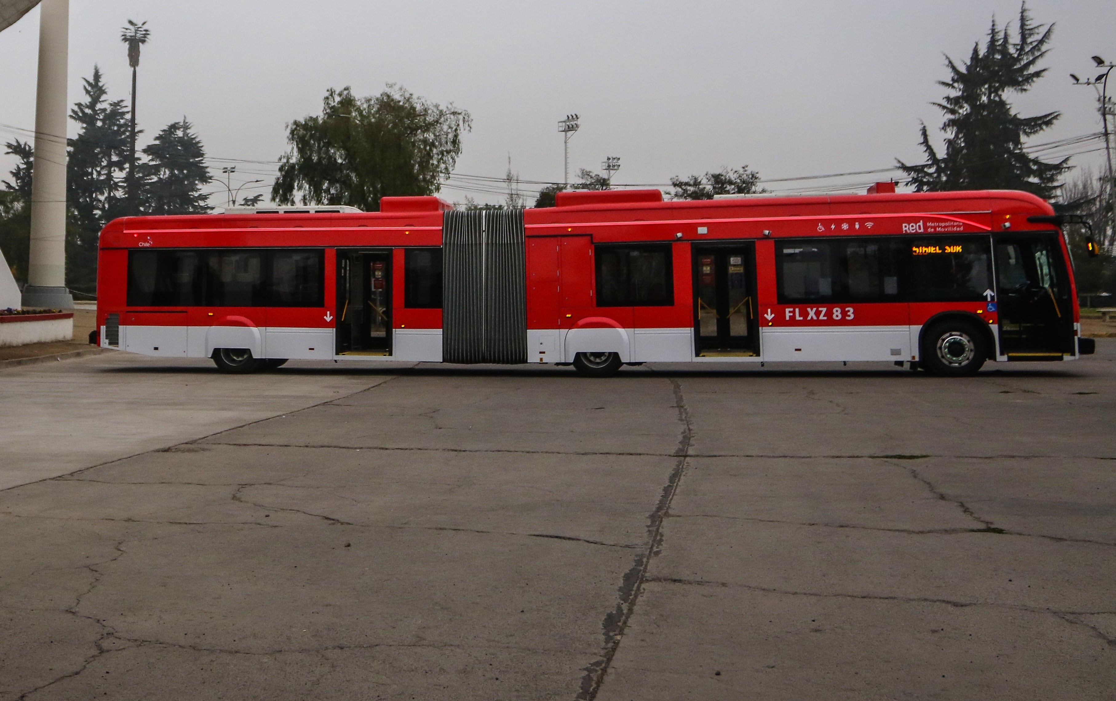 Bus RED oruga