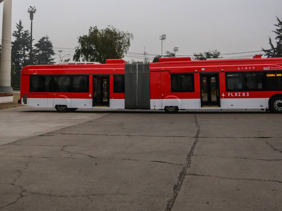Fin a las micros “oruga” de noche: Gobierno saca buses articulados del sistema RED en horario nocturno