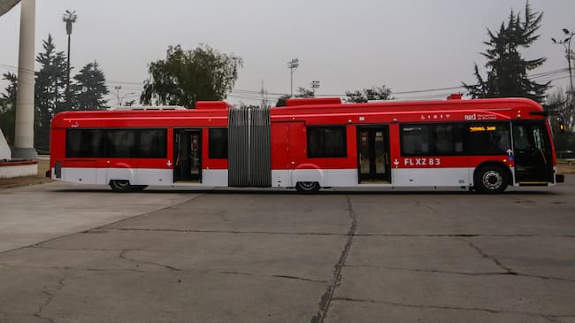 Bus RED oruga