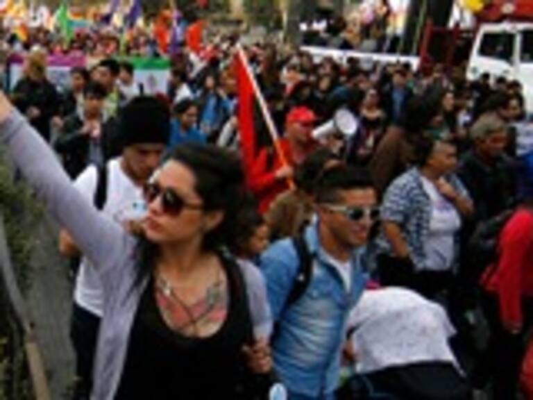 Agrupaciones de diversidad sexual lamentaron que cuenta pública no incluyera sus demandas