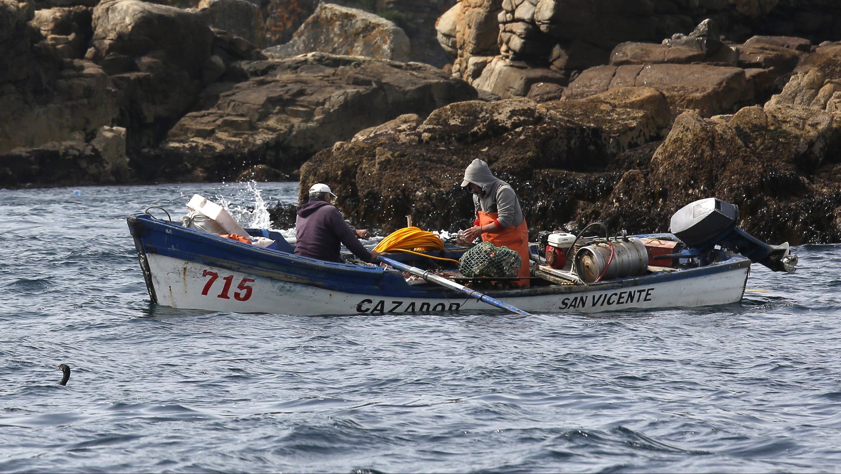 Pesca