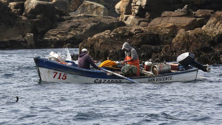 Pesca