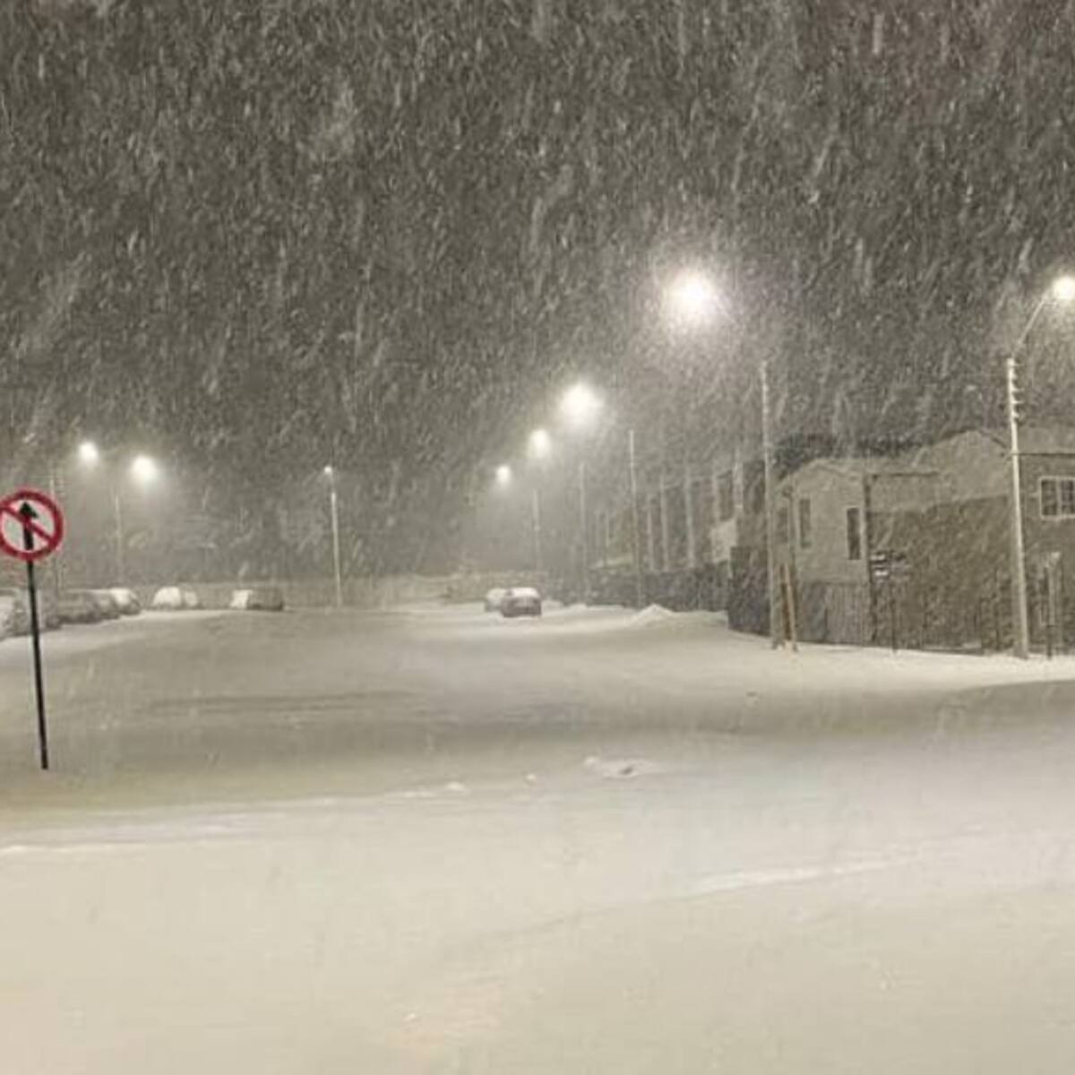 Municipalidad de Punta Arenas suspende las clases por intensa nevazón