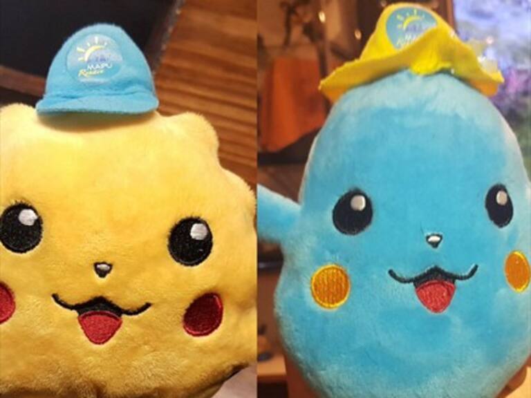 Renacín y Smapina: Contraloría investigará si compra de peluches se hizo con dineros para educación