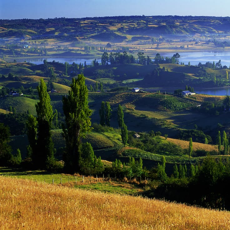 Viuda vende isla completa en Chiloé: terreno de 32 hectáreas y este es su precio