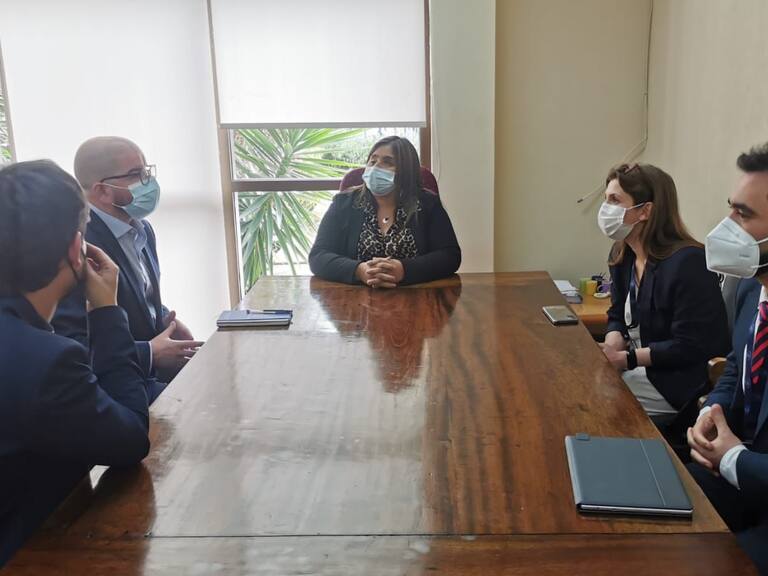 Senadora Fabiola Campillai se reunió con ministro Jackson y pidió urgencia a proyecto de amnistía