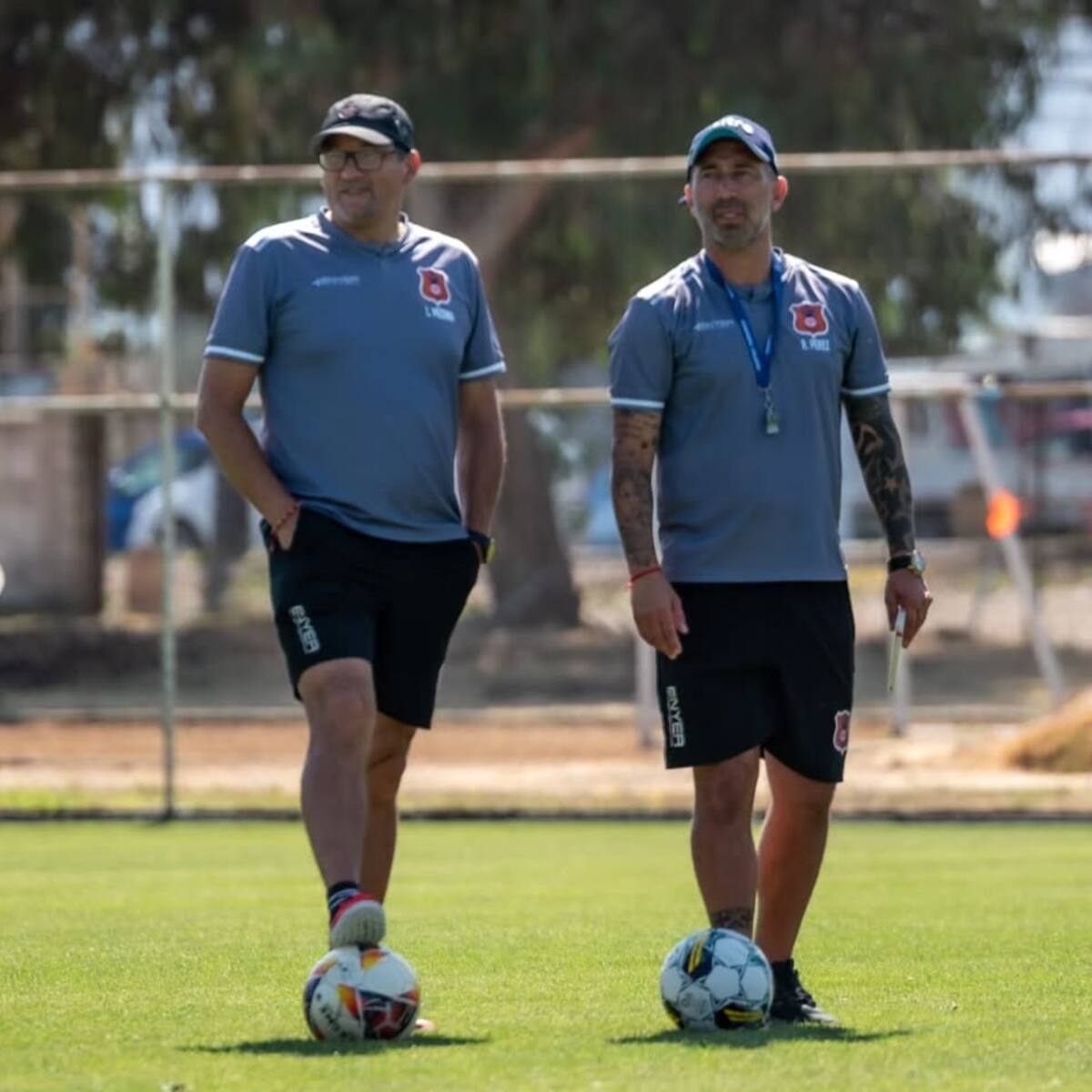 Fue campeón el año pasado y ahora deja su cargo: hay un nuevo DT caído en el fútbol chileno