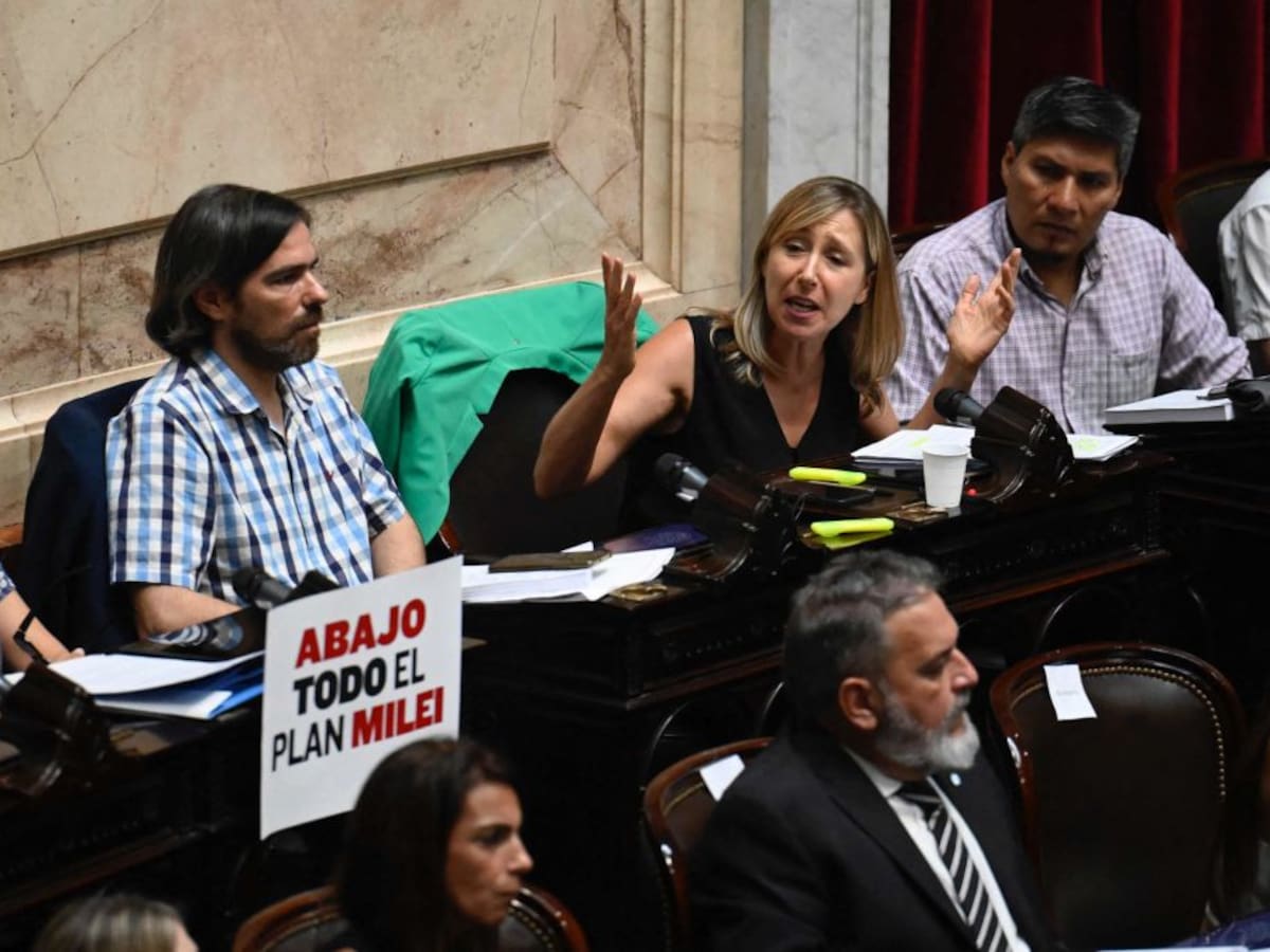 Argentina bajo tensión por Plan Milei: el congreso suspende la votación de la norma y calles ven la represión