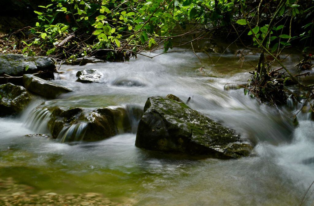 Imagen de un río en Ecuador en medio de un parque natural.