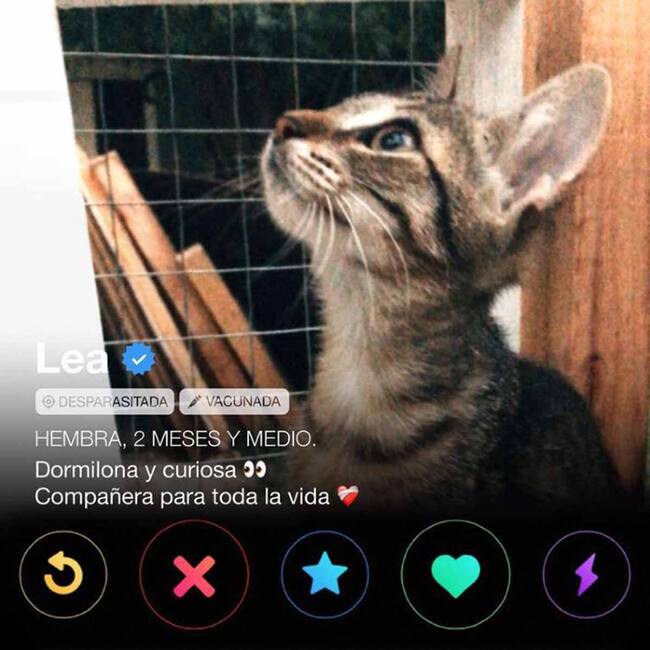 Instagram: @lagatimanada