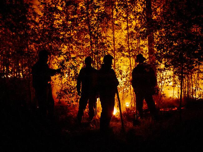 Incendios forestales.