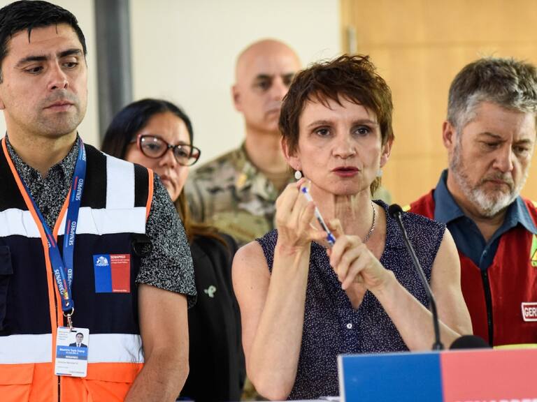 Carolina Tohá e incendios forestales: «Lo que se suele quemar en dos años, se quemó en cinco días»