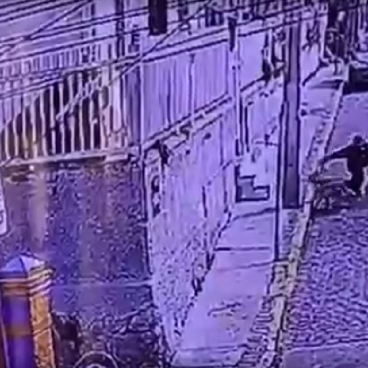 Registro muestra brutal ataque de jauría a un turista en cerro Concepción de Valparaíso