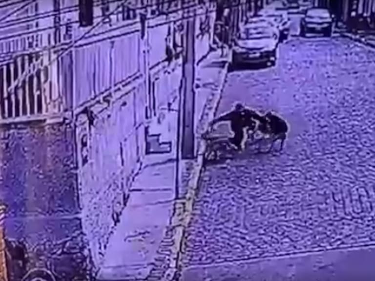 Turista es atacado por jauría de perros en cerro Concepción de Valparaíso