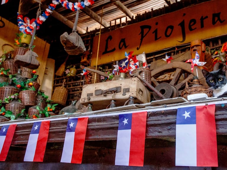 “La Piojera” abrió nuevo local y su dueño reveló cuándo podrían debutar en el MUT de Las Condes