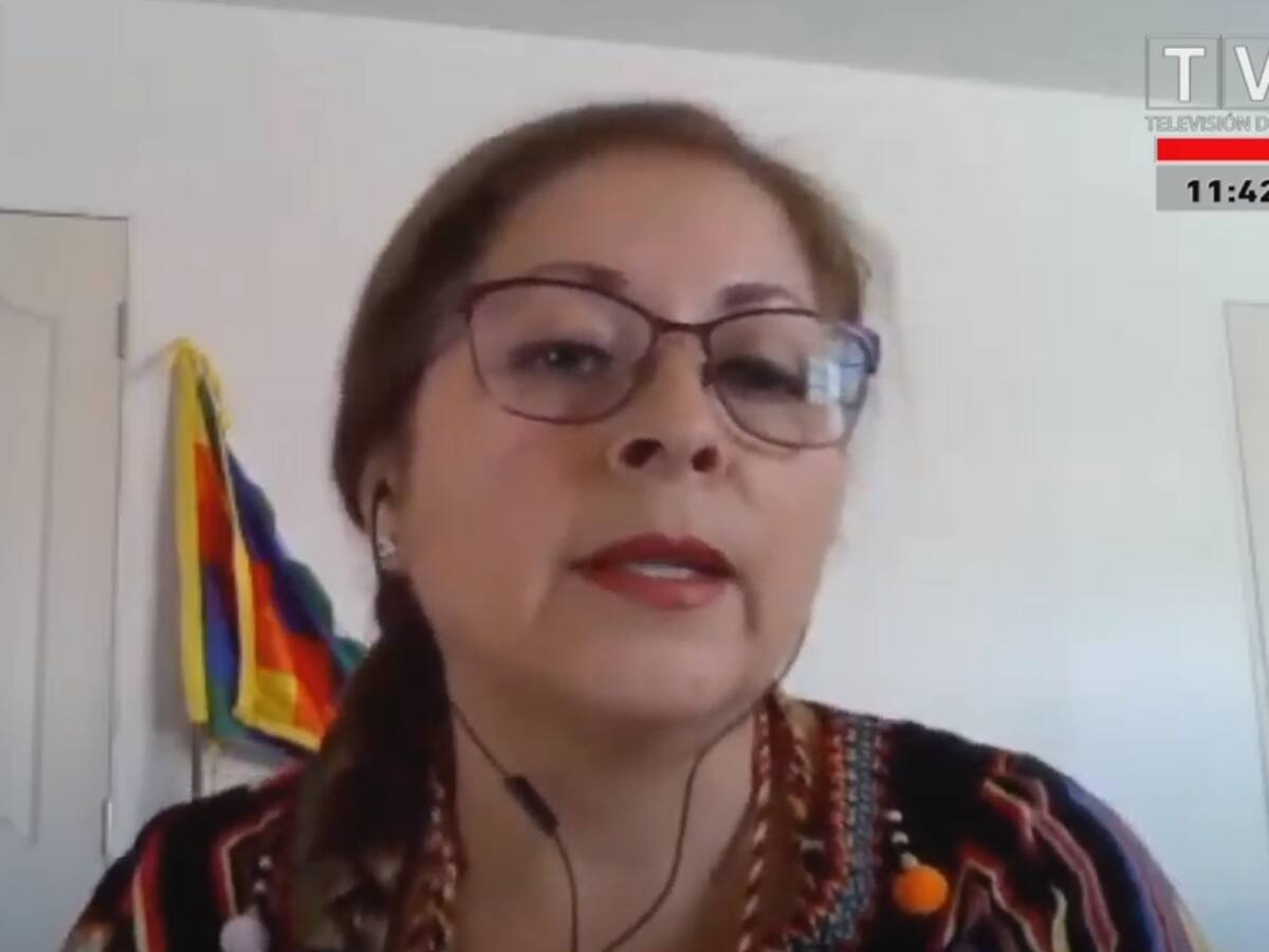 «¡Terremoto!»: El susto que se llevó expositora durante el temblor de Coquimbo en la comisión de Constitución del Senado