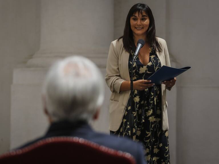 Minsal informó el estado de negociaciones con el ColMed: Izkia Siches no participó en últimas reuniones, tampoco Enrique Paris