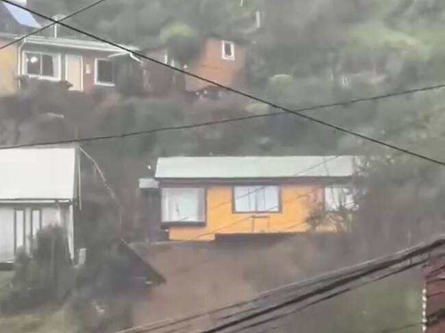 CAPTURA