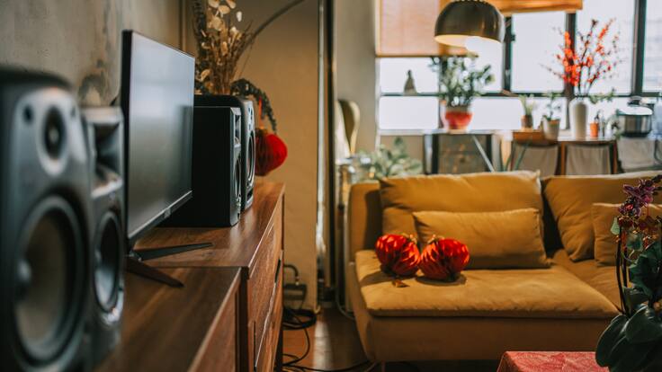 Dónde poner hojas de laurel para cambiar la energía de tu casa y atraer fortuna, según el Feng Shui