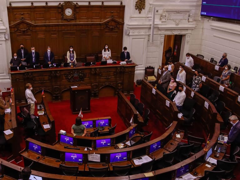 Aprobado plurilingüismo, Estado Social y democrático, los emblemas nacionales de Chile