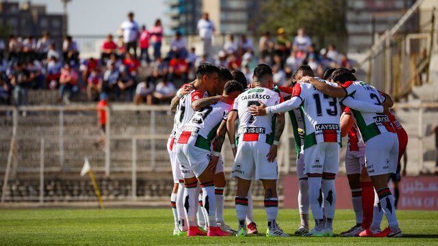 Palestino