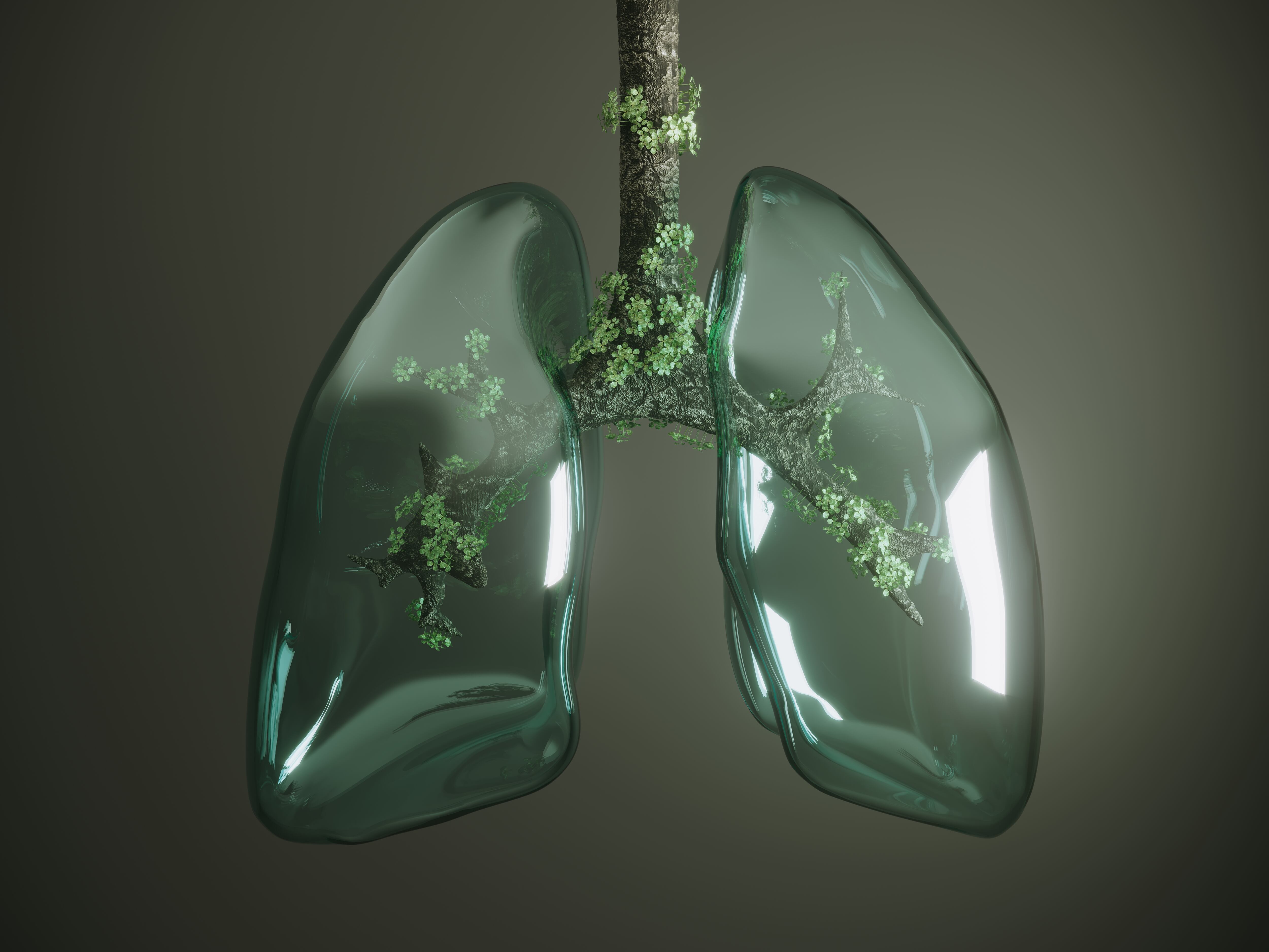 Virus respiratorios