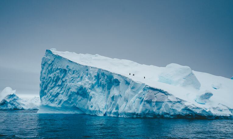 Adélie penguins in Antarctica on top of iceberg