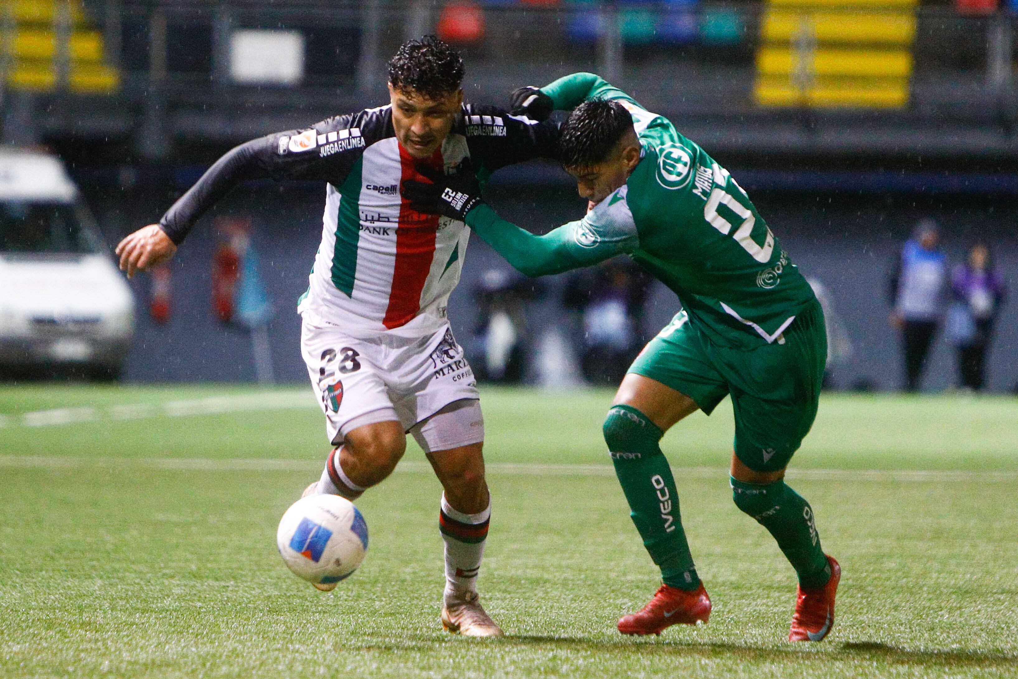 Palestino y Audax tienen una clara opción para clasificar a Copa Sudamericana