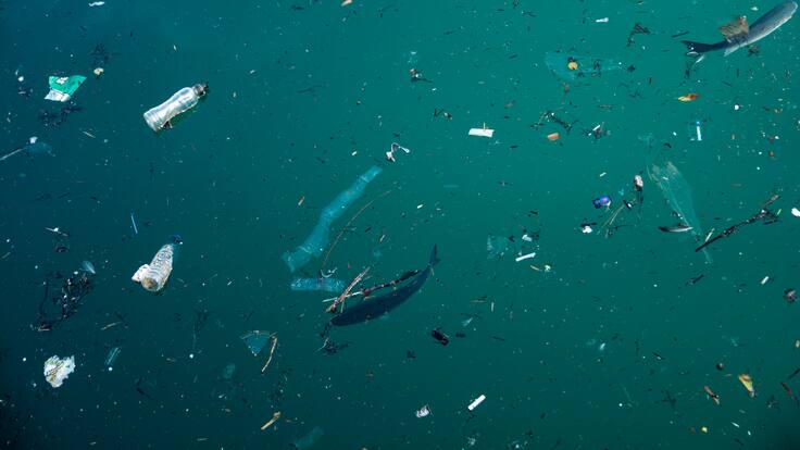 Académico chileno explica cómo llegan los plásticos al mar de Rapa Nui: “La basura entra desde los continentes hacia el mar”