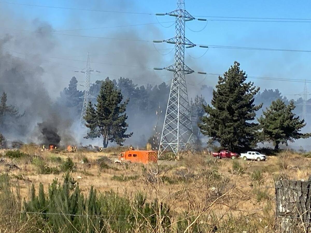 Cerca de 200 hectáreas afectadas: continúa Alerta Roja en Florida por incendio forestal que se propagó a Quillón
