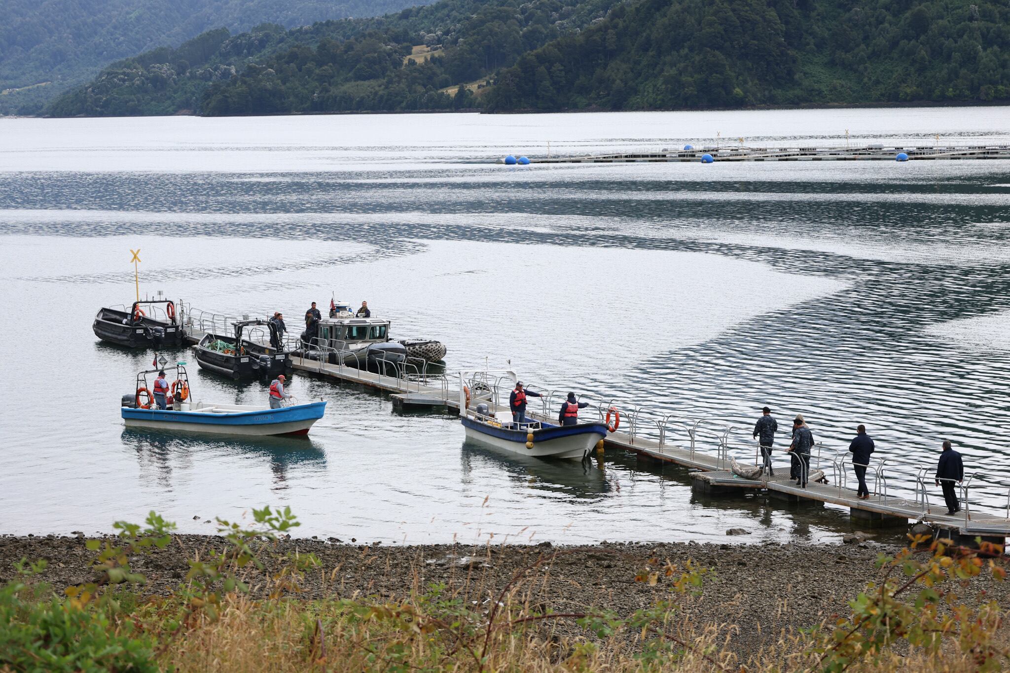Búsqueda de salmoneros volcados