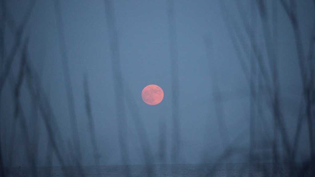 Luna de Fresa