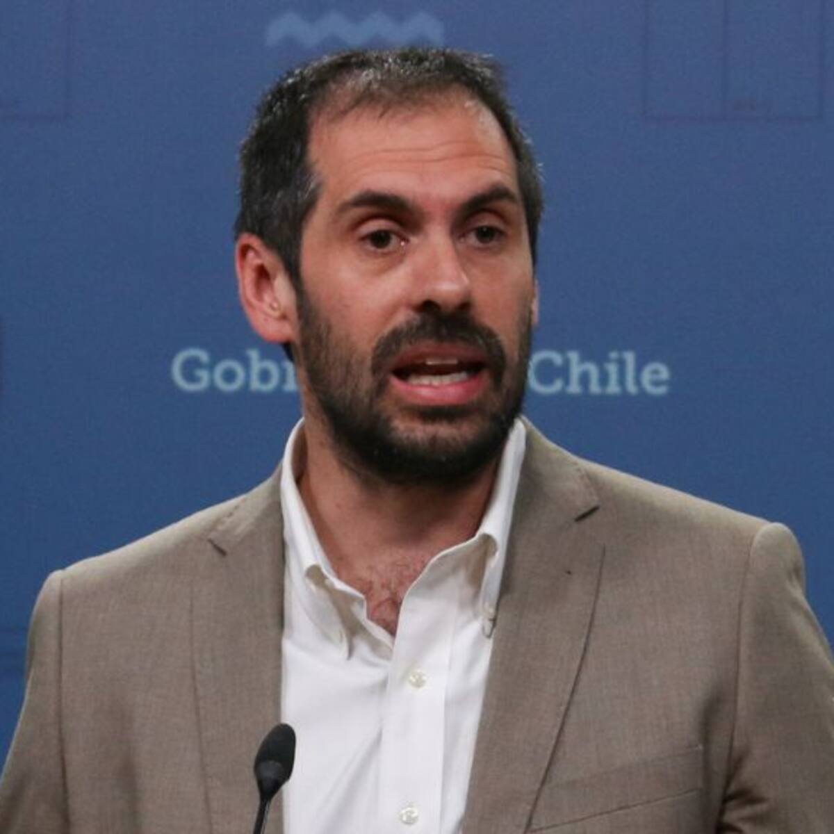 Ministro de Economía anuncia plan de reconstrucción productiva por incendios forestales: subsidios, créditos blandos y «hacerse cargo de la deuda»