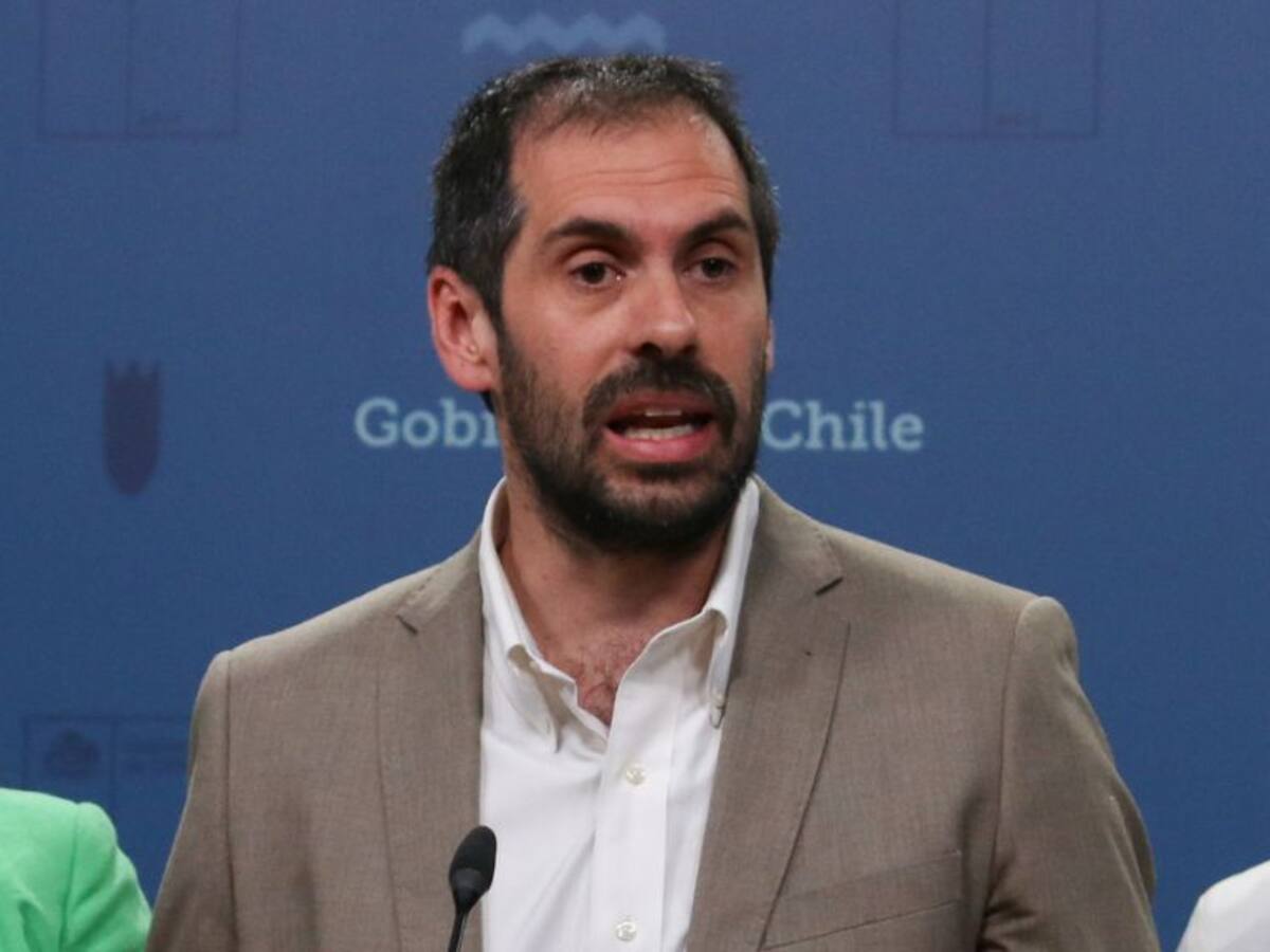 Ministro de Economía anuncia plan de reconstrucción productiva por incendios forestales: subsidios, créditos blandos y «hacerse cargo de la deuda»