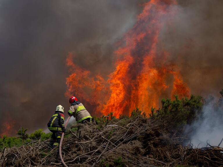 Conaf mantiene alertas en Lonquimay , Fresia, Coyhaique y Chiloé por incendios forestales