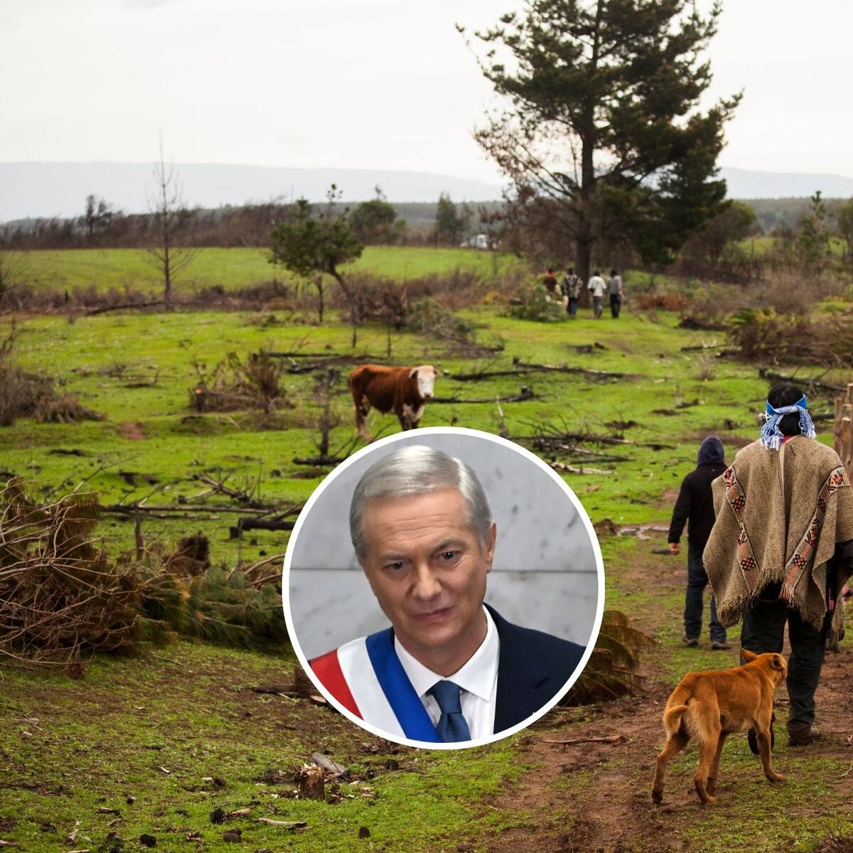 Presidente Kast propone flexibilizar uso de tierras indígenas en Cuenta Pública: podrán arrendarse e hipotecarse